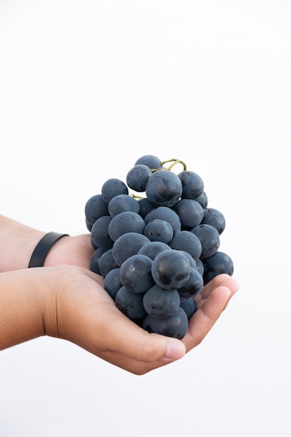 Disparo vertical de la mano de un hombre sosteniendo un racimo de uvas maduras sobre una pared blanca