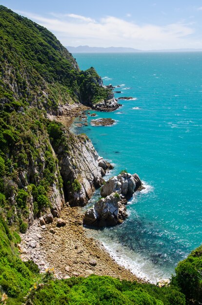 Disparo vertical del mar azul desde Abel Tasman Track, Nueva Zelanda