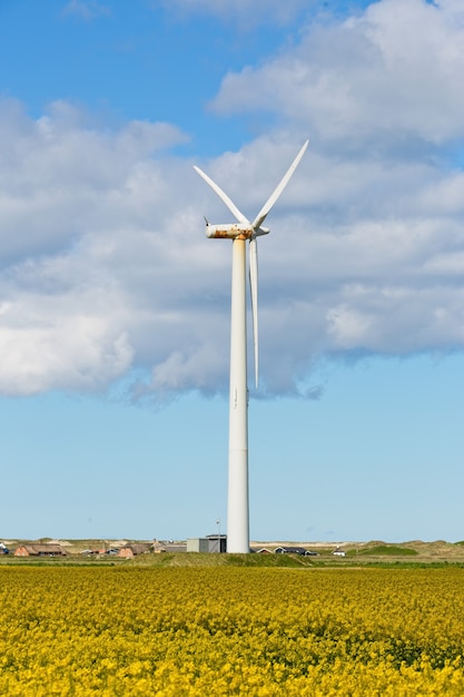 Disparo vertical de un molino de viento en un campo bajo un cielo nublado