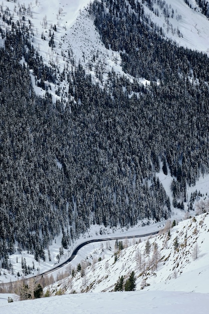 Disparo vertical de una montaña boscosa cubierta de nieve en el Col de la Lombarde - Isola 2000 Francia