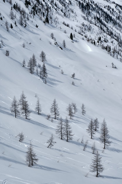 Disparo vertical de una montaña cubierta de nieve en el Col de la Lombarde Isola 2000 Francia