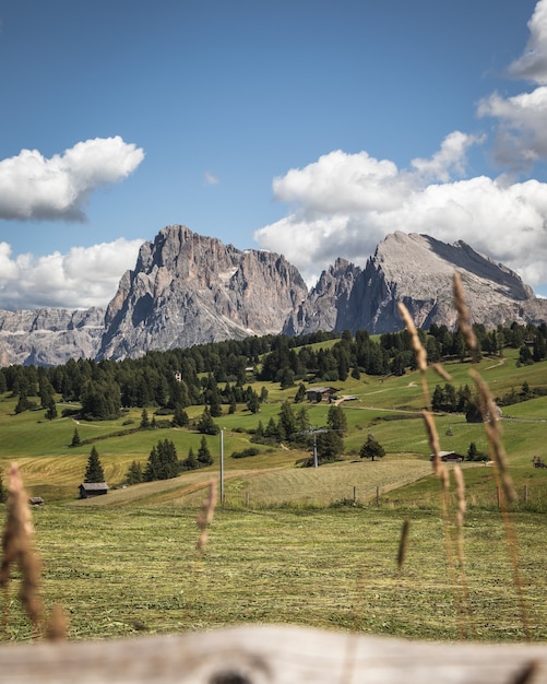 Foto gratuita disparo vertical de la montaña plattkofel en compatsch italia