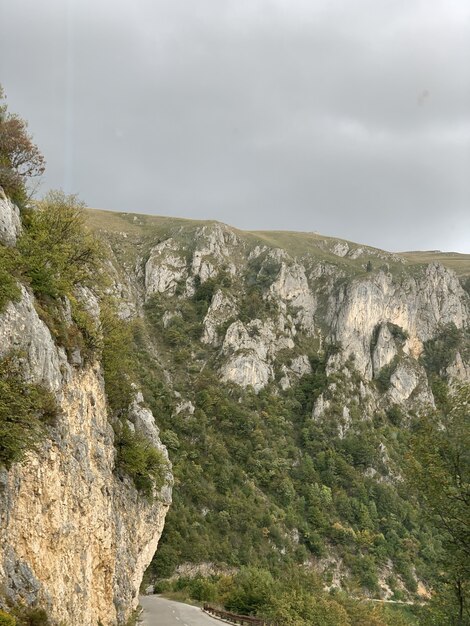 Disparo vertical de montañas cubiertas de vegetación bajo un cielo nublado