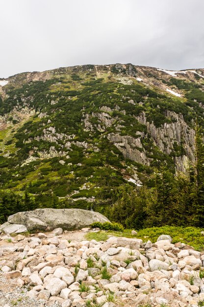 Disparo vertical de las montañas rocosas cubiertas de hierba en un día nublado