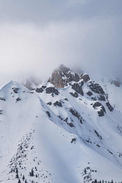 Disparo vertical de las montañas rocosas cubiertas de nieve