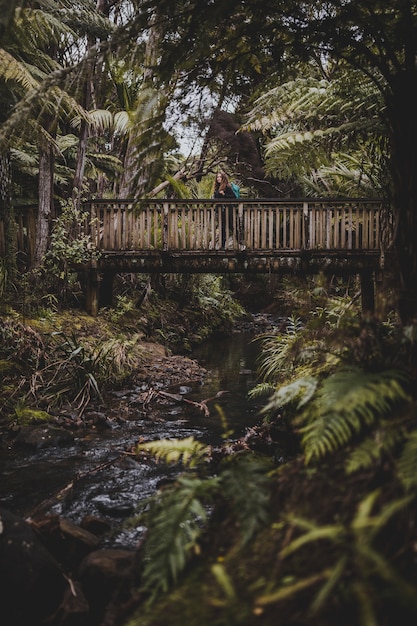 Disparo vertical de una mujer en un puente rodeado de árboles en Kitekite Falls, Nueva Zelanda