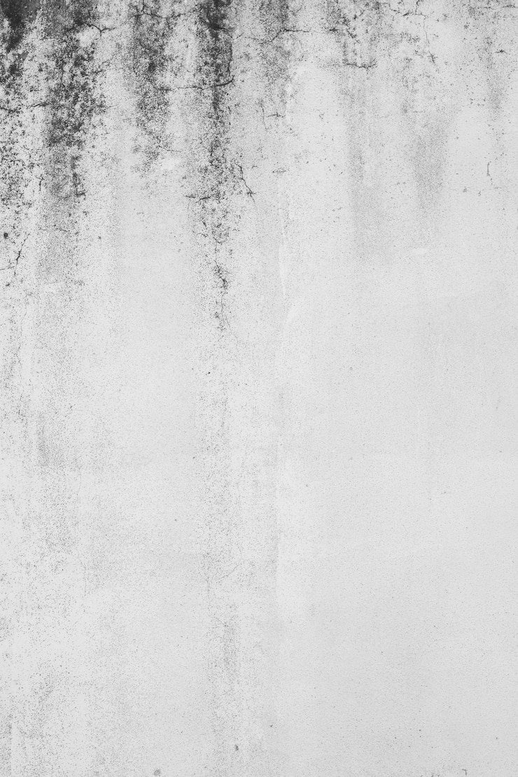 Foto gratuito disparo vertical de un muro de hormigón blanco sucio