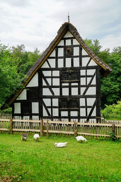 Disparo vertical del Museo al Aire Libre de Kommern en Mechernich, Alemania