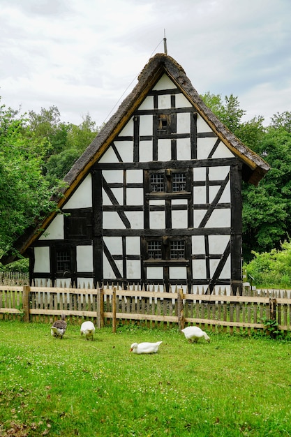 Disparo vertical del Museo al Aire Libre de Kommern en Mechernich, Alemania