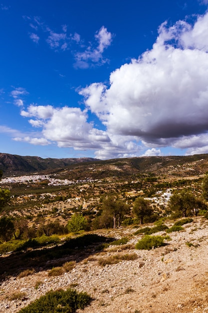 Foto gratuita disparo vertical del paisaje rural de montaña con árboles verdes bajo un cielo nublado azul