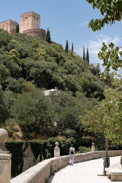 Disparo vertical del palacio de la Alhambra en Granada, España
