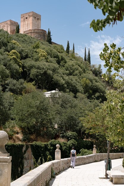 Disparo vertical del palacio de la Alhambra en Granada, España
