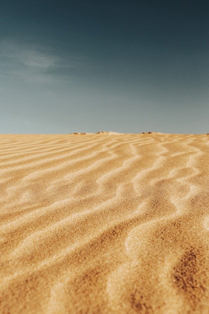 Disparo vertical de los patrones en las arenas del desierto