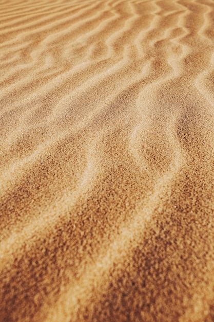 Disparo vertical de los patrones en las arenas del desierto