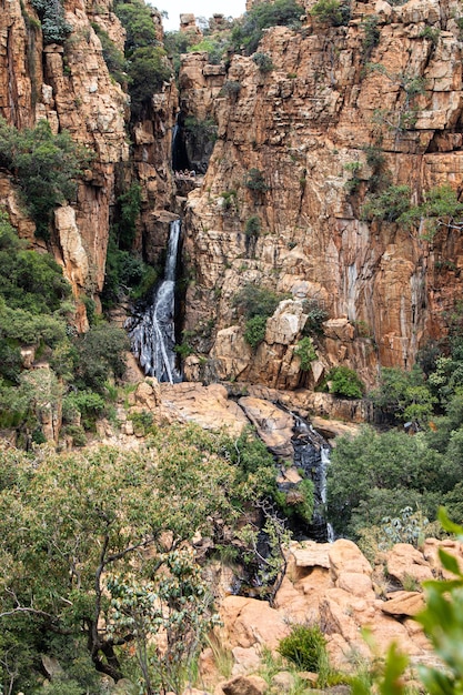 Disparo vertical de una pequeña cascada en un bosque