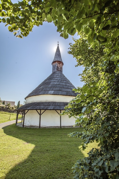 Disparo vertical de una pequeña iglesia detrás de los árboles en el campo Eslovenia