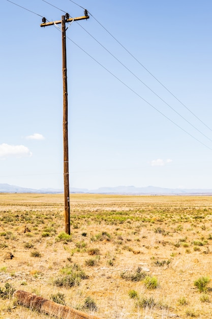 Disparo vertical de un pequeño poste eléctrico de madera en una pradera en Sudáfrica