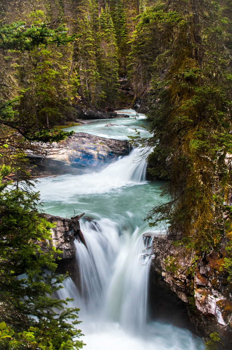 Foto gratuito disparo vertical de un pequeño río en el johnston canyon massive