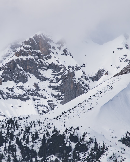 Disparo vertical de los picos nevados de las montañas bajo el cielo nublado