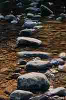 Foto gratuita disparo vertical de la piedra en medio de un chorro de agua