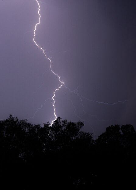 Disparo vertical de un rayo golpeando un árbol por la noche con un cielo púrpura y árboles en el frente