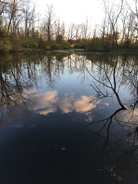 Disparo vertical del reflejo de los árboles y el cielo nublado en un hermoso lago tranquilo