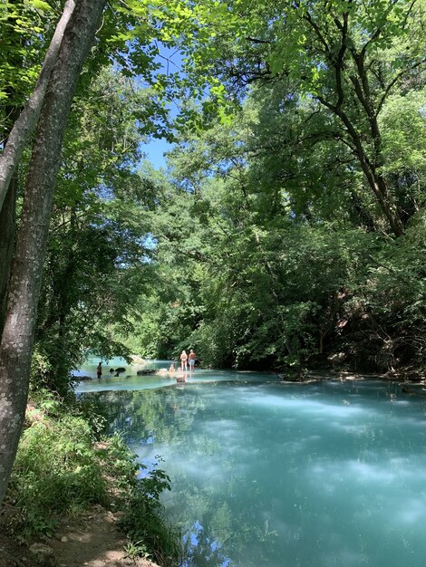 Disparo vertical de un río en el bosque cerca de Colle di Val d'Elsa, Toscana, Italia