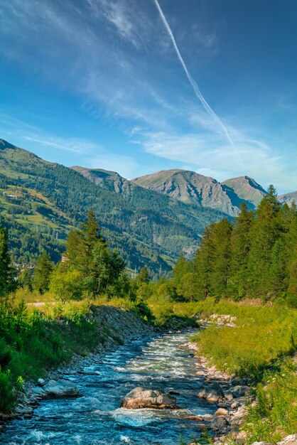 Disparo vertical de un río en el fondo de abetos y montañas