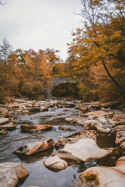 Disparo vertical de un río con muchas rocas rodeado de árboles en otoño cerca de un puente de hormigón