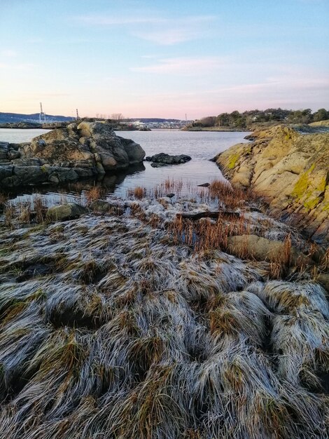 Disparo vertical de un río rodeado por un paisaje único en Ostre Halsen, Noruega