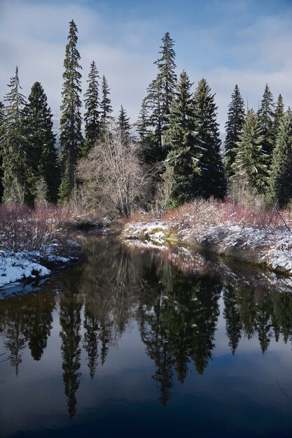 Disparo vertical de un río rodeado de vegetación bajo un cielo nublado azul en Canadá