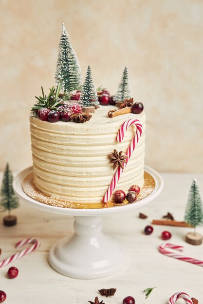 Disparo vertical de un sabroso pastel de Navidad con palitos de caramelo y abetos