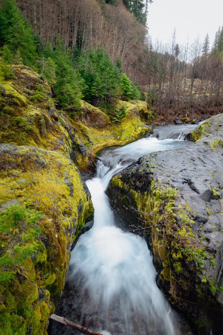 Foto gratuito disparo vertical del sendero lava canyon, stevenson