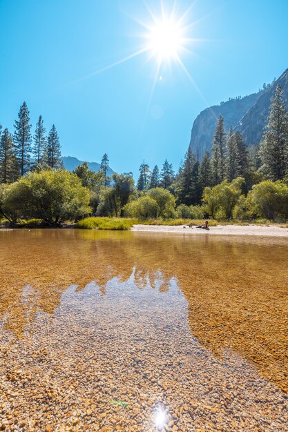 Disparo vertical del sol brillando sobre el agua y los árboles del parque nacional de Yosemite