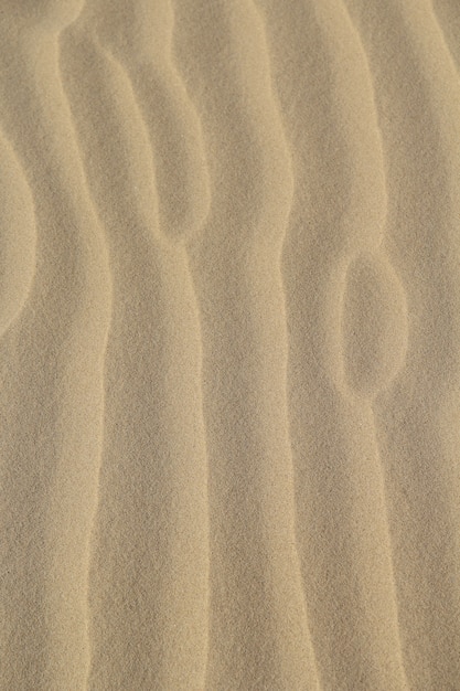 Disparo vertical del suelo cubierto de arena bajo la luz del sol