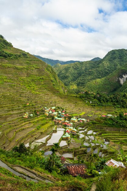 Disparo vertical de terrazas de arroz de Batad, Luzón, Filipinas