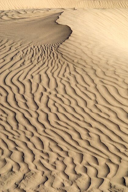 Disparo vertical de una textura de onda de arena en el desierto. Hermoso fondo de pantalla