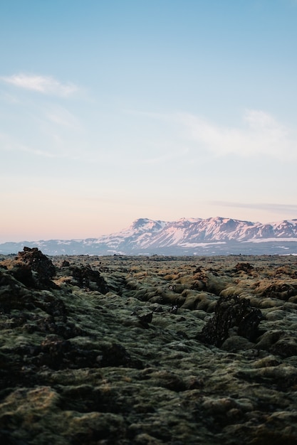 Disparo vertical de las texturas de la tierra en Islandia con una montaña cubierta de nieve en el fondo