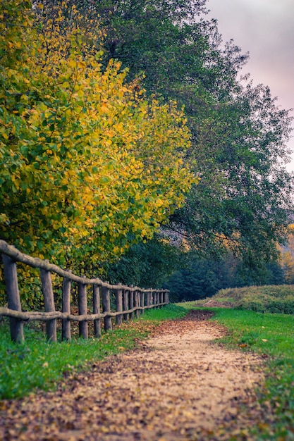 Disparo vertical de una valla de madera y un camino en un parque de otoño