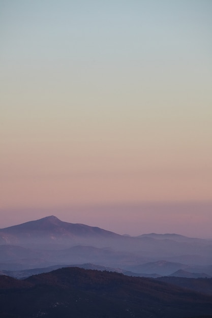 Disparo vertical de la vista a la montaña en el Bosque Nacional de Cleveland durante el amanecer