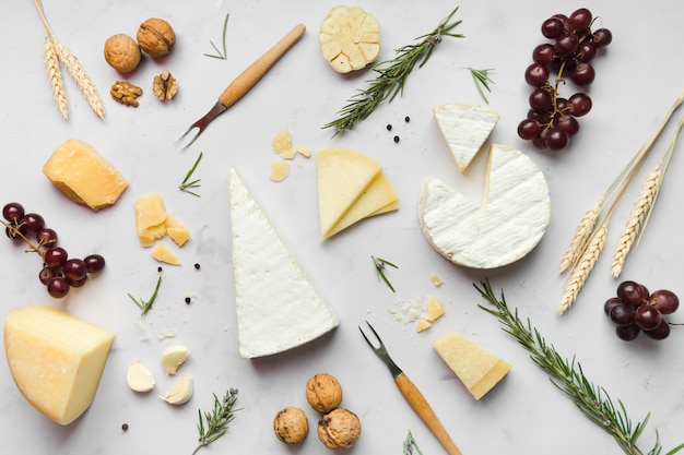 Disposición de diferentes tipos de queso sobre fondo blanco.