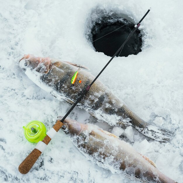 Disposición de elementos de pesca al aire libre