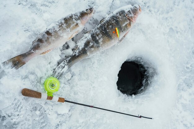 Disposición de elementos de pesca al aire libre