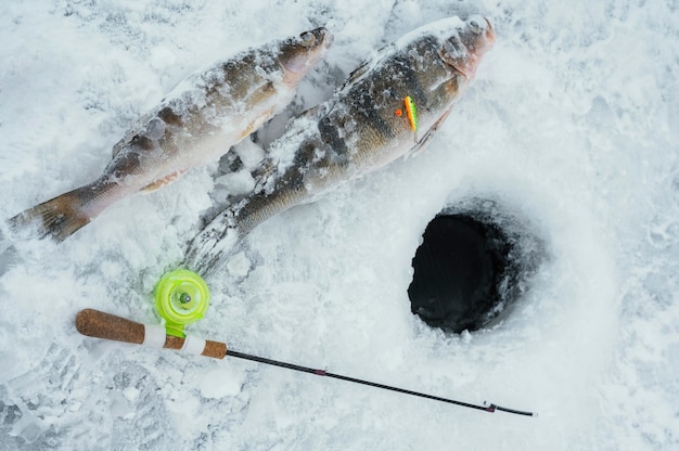 Disposición de elementos de pesca al aire libre