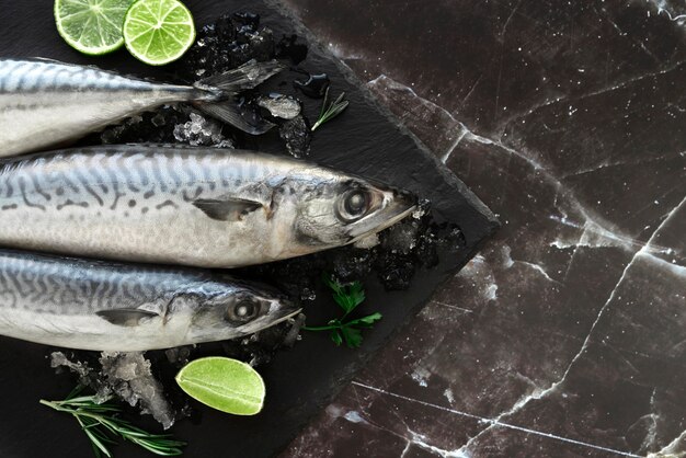 Disposición de mariscos saludables.