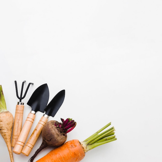 Disposición plana de diferentes verduras y herramientas de jardinería.