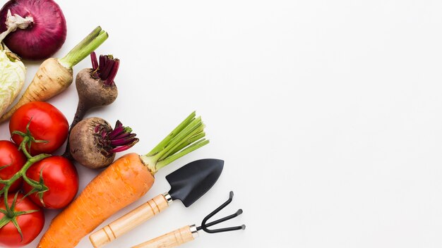 Disposición plana de diferentes verduras.