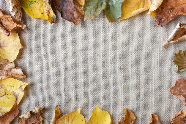 Disposición plana con hojas en textura de saco