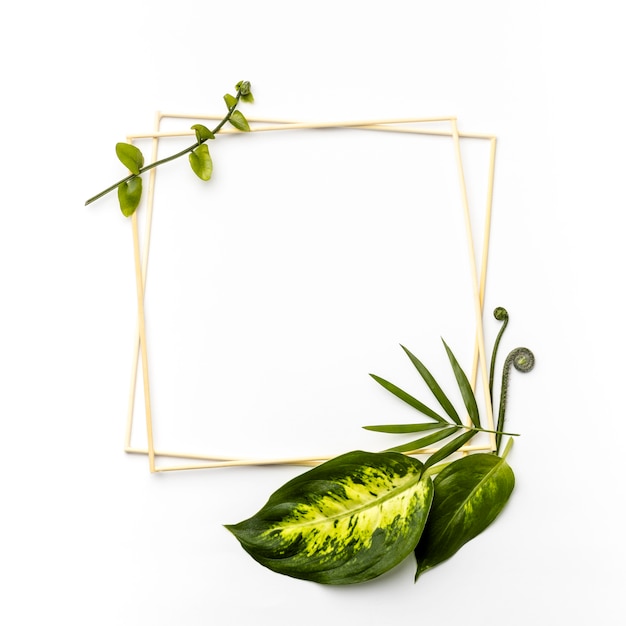 Foto gratuita disposición plana de hojas verdes con marcos vacíos