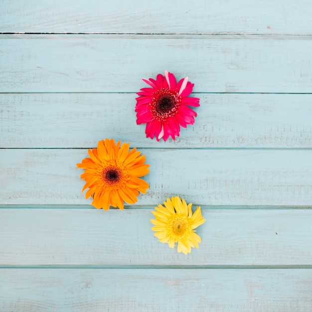 Dispuestas flores brillantes en triángulo